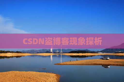 CSDN盗博客现象探析