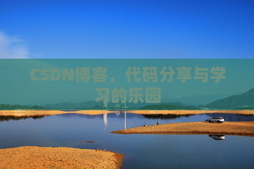CSDN博客，代码分享与学习的乐园